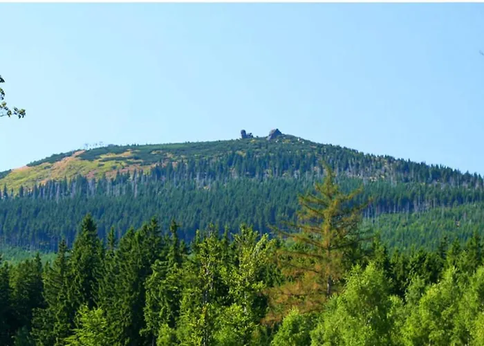 Grota Апартаменты *